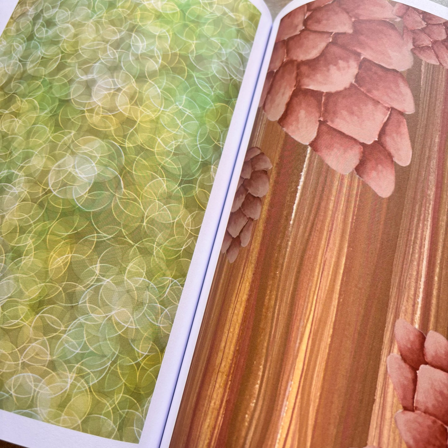 Woodland Treasures Collection Paperback Book