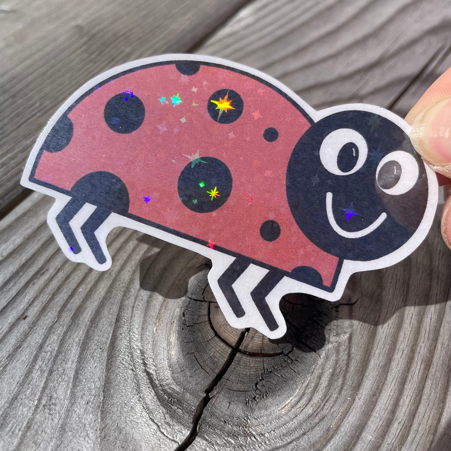 1 pc large Ladybird Holographic Stickers