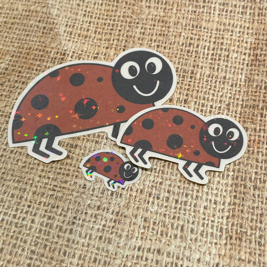 3 pc Ladybird Holographic Stickers