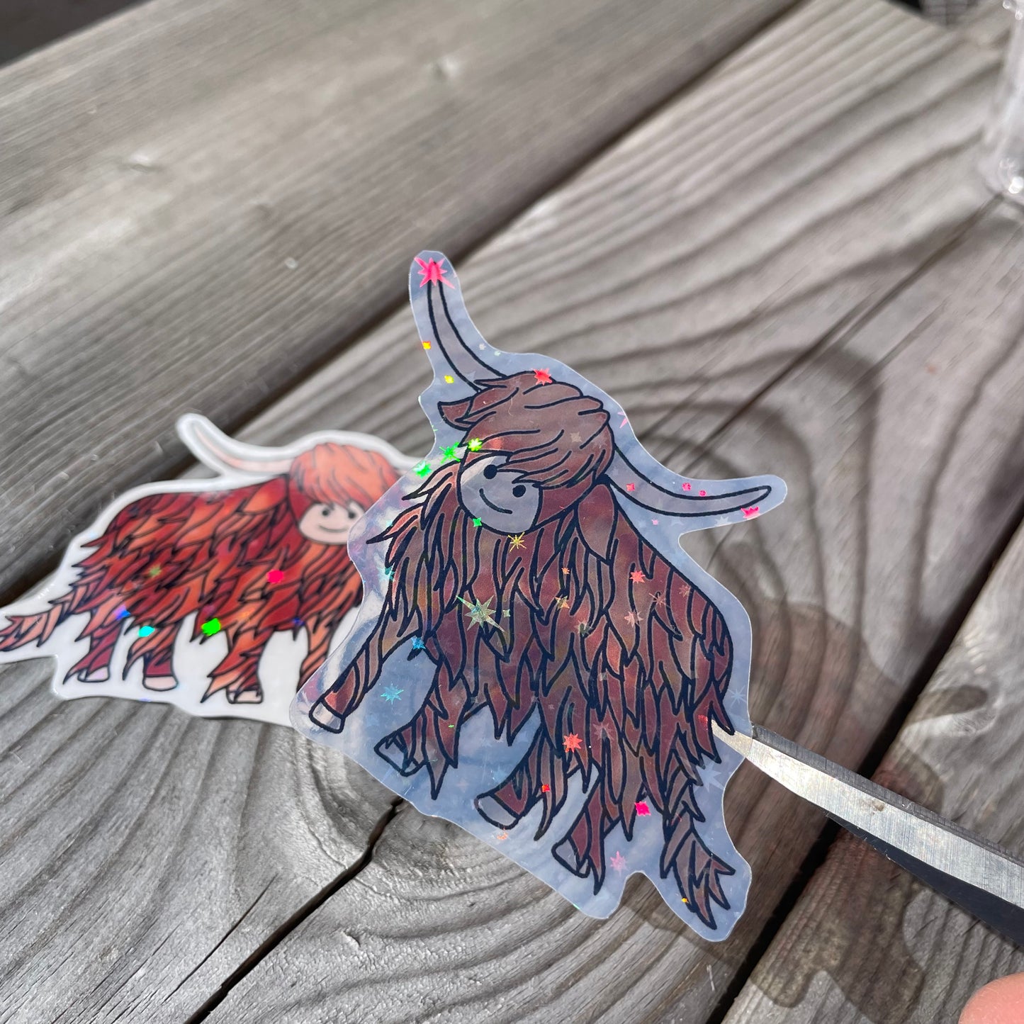 2 pc Harry the Highland Cow Clear Holographic Stickers