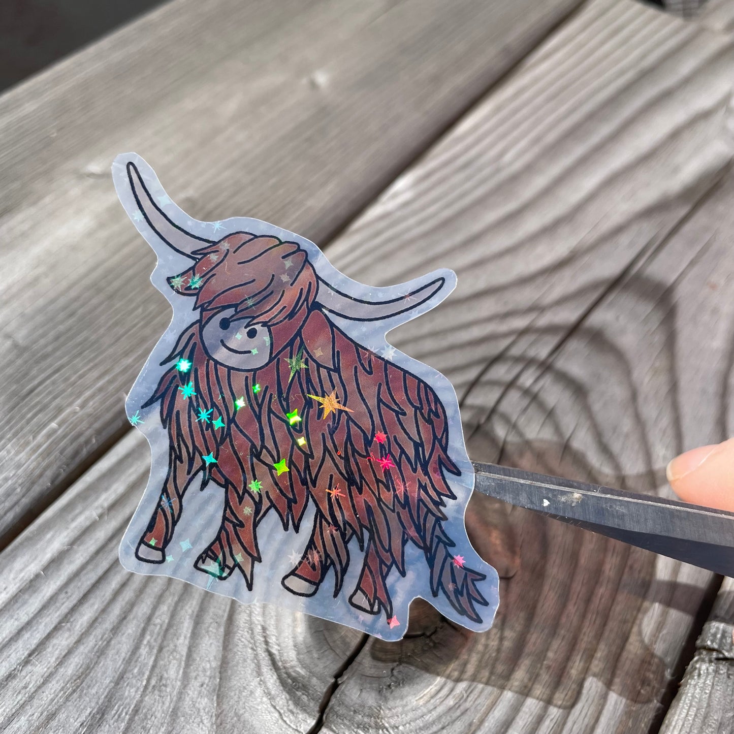 1 pc Large Harry The Highland Cow Clear Holographic Stickers