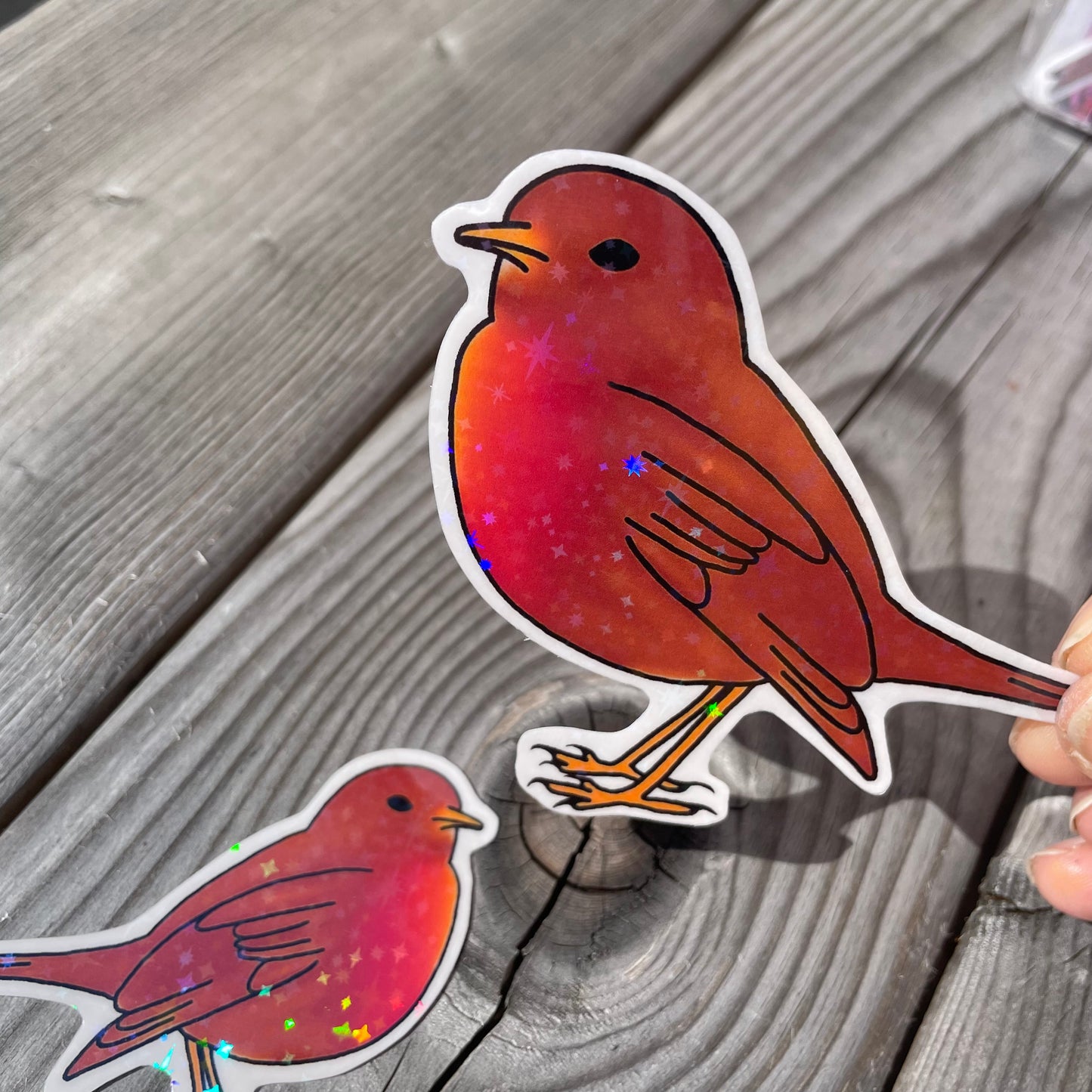 2 pc Chippy The Robin Clear Holographic Stickers