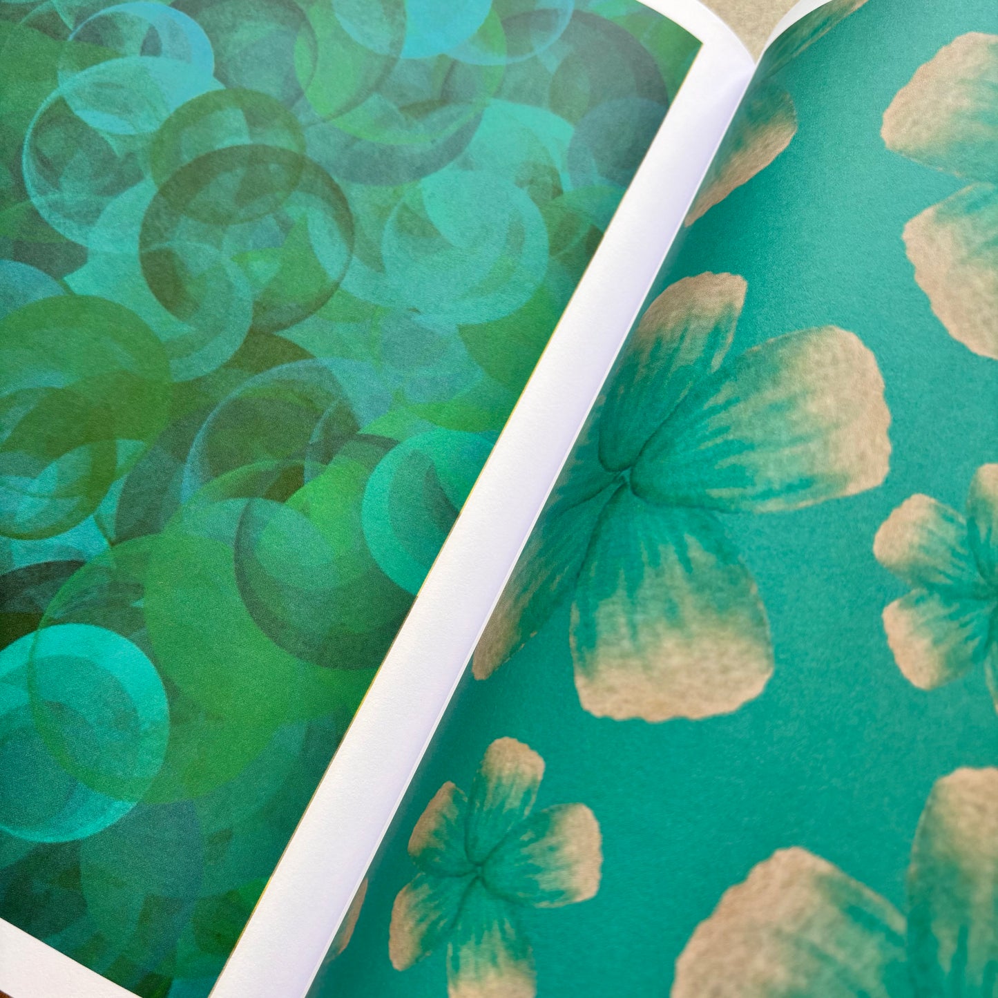 Woodland Treasures Collection Paperback Book