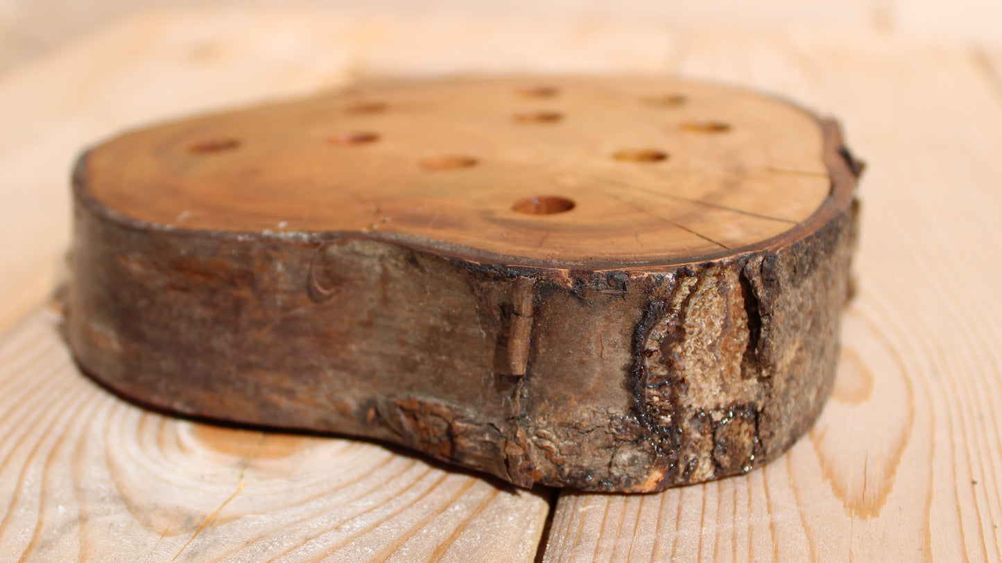 Wooden Slice Desk Tidy