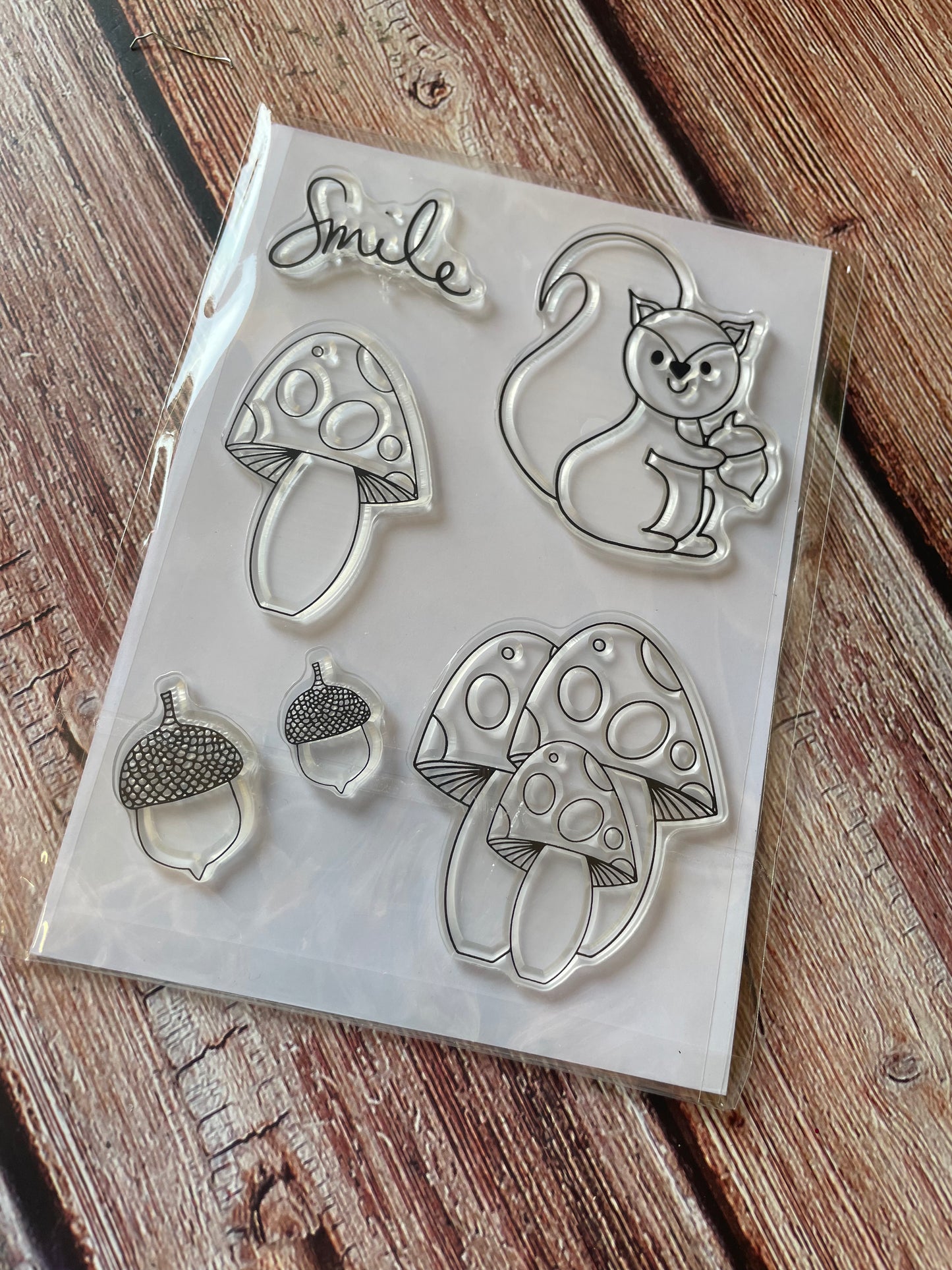 Katie Squirrel A6 silicone stamp set