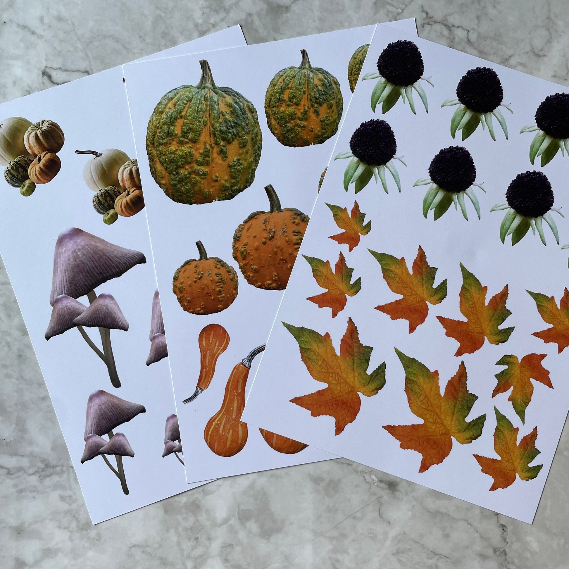 Feastive treasures autumn spice paper pack 24 background sheets (8 designs) 3 fussy cutting sheets