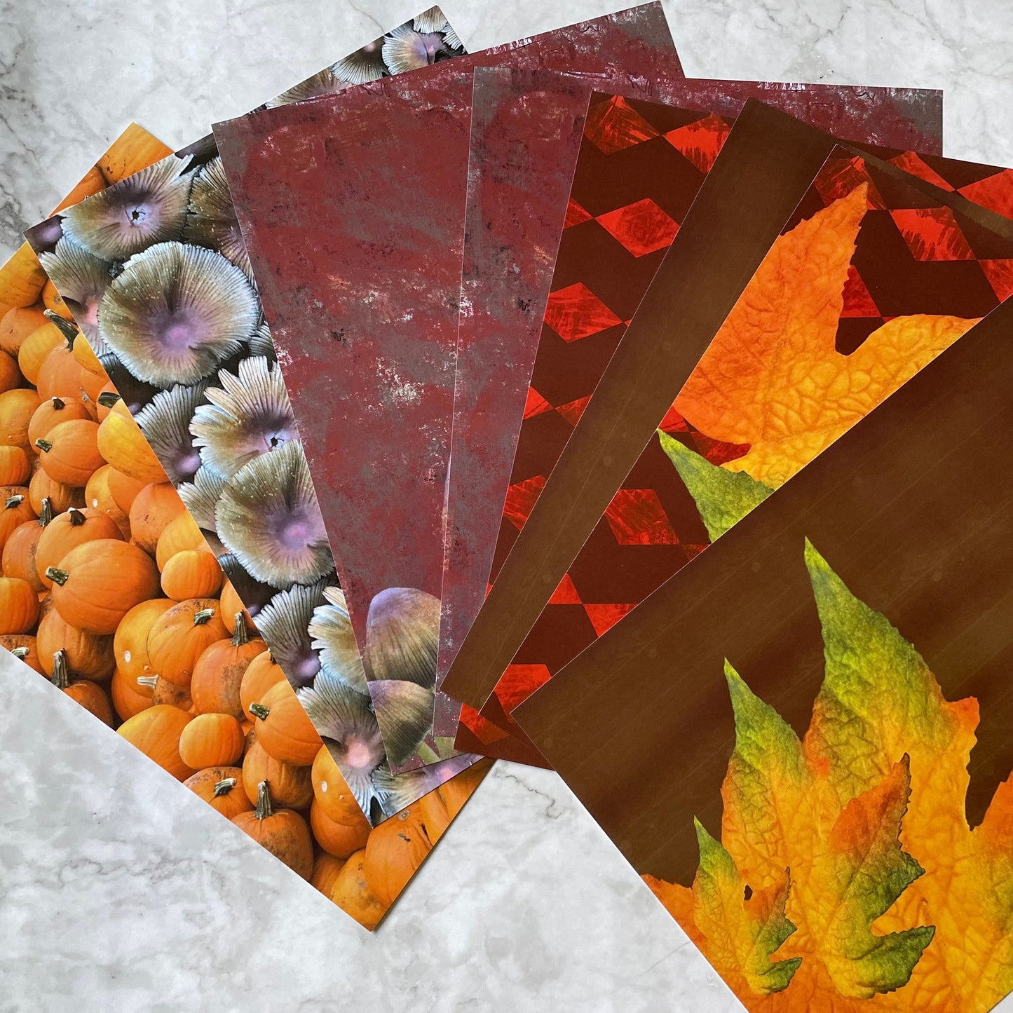 Feastive treasures autumn spice paper pack 24 background sheets (8 designs) 3 fussy cutting sheets