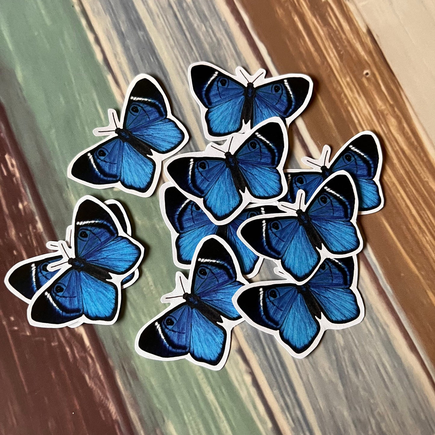 10 pcs black and Blue butterfly butterflies ephemera pack ready to use no cut