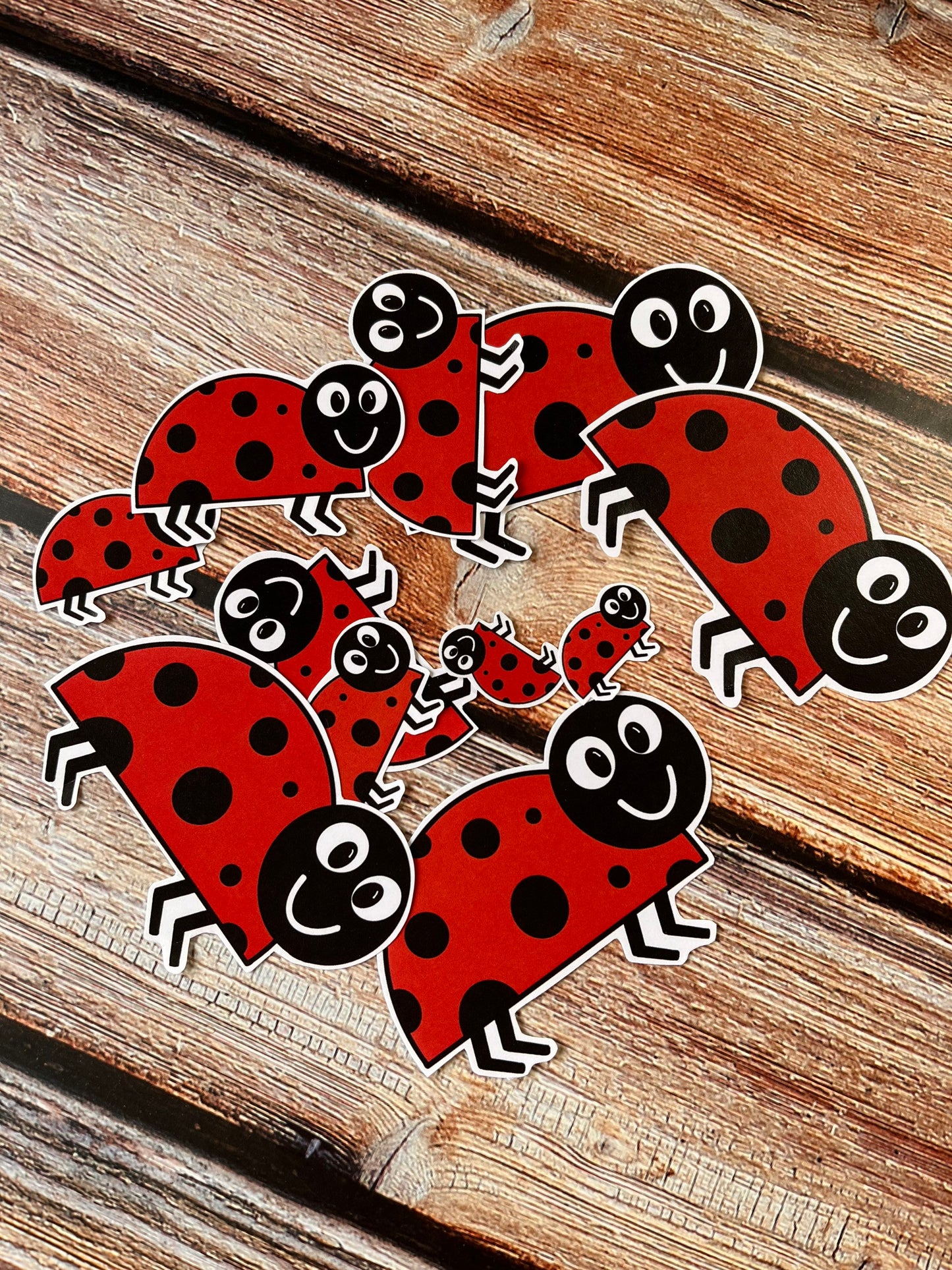 15 pcs ladybug ladybird ephemera pieces in various sizes ready to use