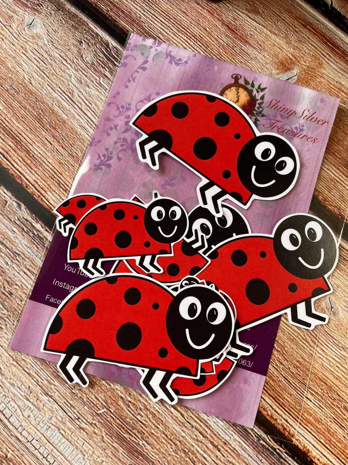 15 pcs ladybug ladybird ephemera pieces in various sizes ready to use